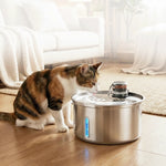 Cat drinking from the 304 stainless steel fountain tray