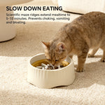 Cat eating from a white bowl with text about slow down eating