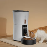 Cat eating from the automatic pet feeder with the feeding schedule shown