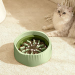 Cat sitting beside the green slow feeder bowl on a carpeted floor