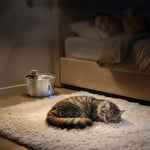 Cat sleeping beside the quiet-running pet water fountain
