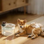 Dog and cat resting on a wooden floor beside the pet water fountain
