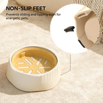 Pet food bowl with non-slip feet feature on a beige surface