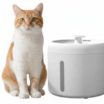 Cat sitting next to a pet water dispenser with text on a light green background