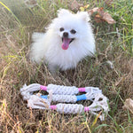 Small white dog with a rope toy on grass