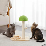 Two cats playing with the mushroom cat scratching post