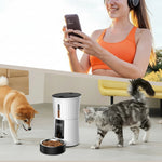 Woman at home with her cat and dog beside the 4L automatic pet feeder