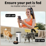 Woman using a smartphone with a pet feeder and two pets in a home setting, emphasizing pet feeding automation.