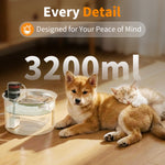 Dog and cat lying on a wooden floor next to a pet water bowl with 'Every Detail' branding.