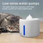 Cat lying next to a white water dispenser with blue indicator on a wooden floor.