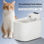 Cat next to a white pet water fountain with product details on a blue background